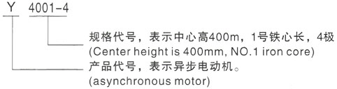 西安泰富西玛Y系列(H355-1000)高压YKK3552-4/200KW三相异步电机型号说明